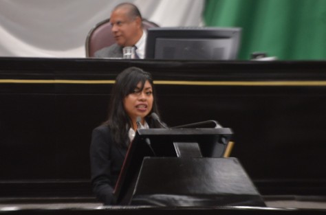 A nombre del Grupo Legislativo de Morena en el Congreso de Veracruz, la diputada Elizabeth Cervantes de la Cruz presentó la iniciativa de reforma al artículo 44 de la Ley de Desarrollo Integral de la Juventud que tiene como propósito establecer la obligación del Gobierno estatal de asignar un presupuesto que permita planear, promocionar y aplicar las actividades de atención y asistencia que coadyuven al desarrollo integral de la juventud.