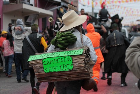 Los disfraces alusivos a sitios y personajes locales son característicos de esta fiesta. Muchos de ellos están elaborados con materiales orgánicos. El cuidado del ecosistema en Teocelo es algo importante para sus pobladores. 