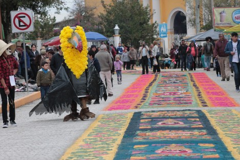 Los disfraces alusivos a sitios y personajes locales son característicos de esta fiesta. Muchos de ellos están elaborados con materiales orgánicos. El cuidado del ecosistema en Teocelo es algo importante para sus pobladores. 