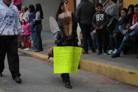 Los disfraces alusivos a sitios y personajes locales son característicos de esta fiesta. Muchos de ellos están elaborados con materiales orgánicos. El cuidado del ecosistema en Teocelo es algo importante para sus pobladores. 