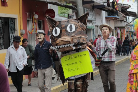 Los disfraces alusivos a sitios y personajes locales son característicos de esta fiesta. Muchos de ellos están elaborados con materiales orgánicos. El cuidado del ecosistema en Teocelo es algo importante para sus pobladores. 