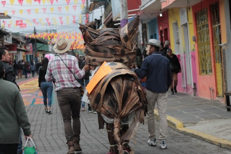 Los disfraces alusivos a sitios y personajes locales son característicos de esta fiesta. Muchos de ellos están elaborados con materiales orgánicos. El cuidado del ecosistema en Teocelo es algo importante para sus pobladores. 