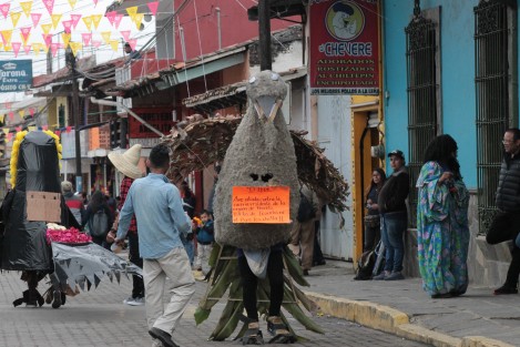 Los disfraces alusivos a sitios y personajes locales son característicos de esta fiesta. Muchos de ellos están elaborados con materiales orgánicos. El cuidado del ecosistema en Teocelo es algo importante para sus pobladores. 