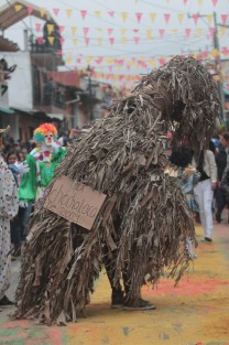 Los disfraces alusivos a sitios y personajes locales son característicos de esta fiesta. Muchos de ellos están elaborados con materiales orgánicos. El cuidado del ecosistema en Teocelo es algo importante para sus pobladores. 
