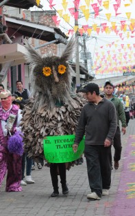 Los disfraces alusivos a sitios y personajes locales son característicos de esta fiesta. Muchos de ellos están elaborados con materiales orgánicos. El cuidado del ecosistema en Teocelo es algo importante para sus pobladores. 
