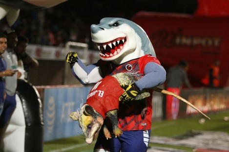 La mascota de los Tiburones se hizo acompañar de la nueva mascota, Jarochito. Esta mañana fue encontrado en el  estadio un tlacuache más, con lo que suman ya  tres los hallados en este lugar. 