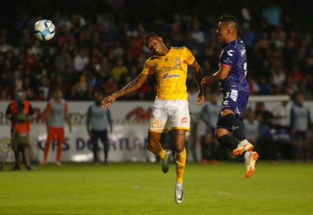 Los Tiburones Rojos perdieron 2 a 0 frente a los Tigres de Nuevo León en el juego correspondiente a la fecha 6 del torneo Liga MX.