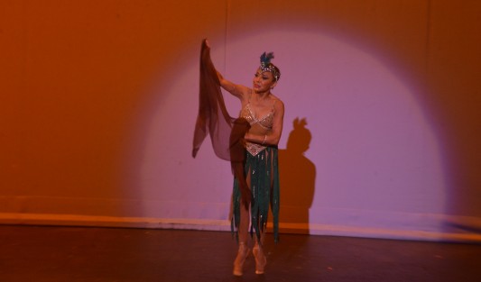 La gala artística durante el homenaje a José Martí, estuvo a cargo de la  afamada crotalista Sonia Amelio. 

