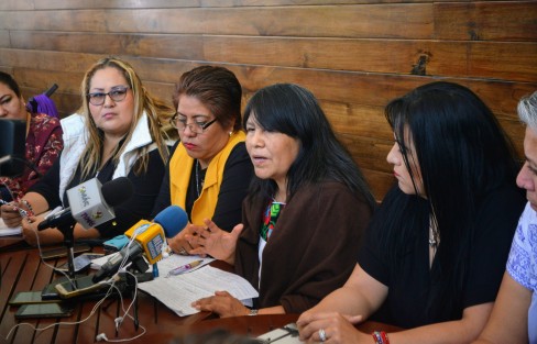 Un grupo de Mujeres Feministas anunció el doceavo Encuentro Nacional de Feministas que se llevará a cabo del 14 al 27 de febrero en los municipios de Xalapa, Veracruz, Minatitlán y Coatzacoalcos; así lo dio a conocer Nury Romero Santiago, representante de un grupo de Tamaulipas.