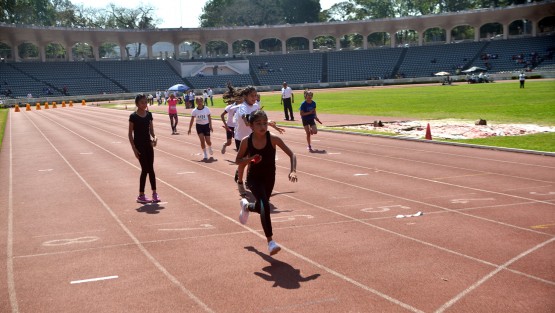 En las instalaciones del estadio Heriberto Jara Corona se realizaron  los juegos deportivos escolares de la educación básica 2018-2019, en su etapa de inspección 20 Xalapa sur, en la cual participaron varias instituciones educativas de la capital.  