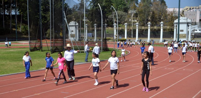 En las instalaciones del estadio Heriberto Jara Corona se realizaron  los juegos deportivos escolares de la educación básica 2018-2019, en su etapa de inspección 20 Xalapa sur, en la cual participaron varias instituciones educativas de la capital.  