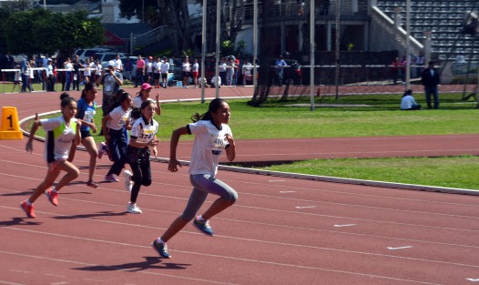 En las instalaciones del estadio Heriberto Jara Corona se realizaron  los juegos deportivos escolares de la educación básica 2018-2019, en su etapa de inspección 20 Xalapa sur, en la cual participaron varias instituciones educaticvas de la capital.  