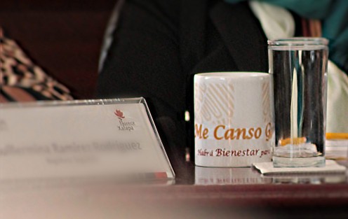 Ya se ven las tazas de Me canso ganso. 