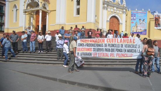 Productores de piloncillo se manifestaron en Plaza Lerdo; exigen al gobierno ponga en marcha la ley estatal para este producto, ya que continúa la competencia desleal de productores que añaden otros ingredientes a sus productos para dar un precio  más bajo.