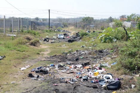 Varias colonias de la ciudad y Puerto de Veracruz se encuentran abandonadas y viven en la irregularidad, escasea el agua hasta por 15 días y tienen que acarrearla de otra colonia; en el horizonte se observan las calles como basurero  y los postes de luz con un montículo de hilos colgantes.  