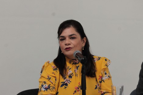 La directora del IVEC, Silvia Alejandre Prado, cuestionada sobre la queja de la sobrina del finado escritor Sergio Pitol sobre la falta de interés de autoridades para hacer se su casa un museo, dijo que al menos con esta administración no hubo acercamiento, por lo que considera que ese tema quedó cerrado. 