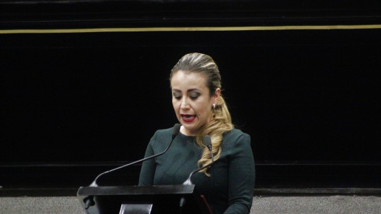 Congreso de Veracruz avaló la creación de la Guardia Nacional con el voto a favor de los 40 diputados presentes en la sesión extraordinaria de la LXV Legislatura.