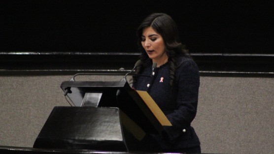 En sesión solemne del Congreso del Estado de Veracruz, se entregó el Premio Estatal a la mujer a Norma Rmero, del grupo de Las Patronas.