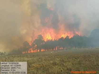 Incendio forestal en el predio San Juan del Monte, municipio de Las Vigas de Ramírez, Ver. Autoridades municipales piden apoyo, pues el fuego se ha salido de control debido a las proporciones y el viento cambiante. 