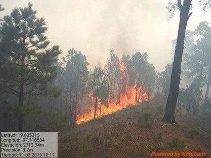 Incendio forestal en el predio San Juan del Monte, municipio de Las Vigas de Ramírez, Ver. Autoridades municipales piden apoyo, pues el fuego se ha salido de control debido a las proporciones y el viento cambiante. 