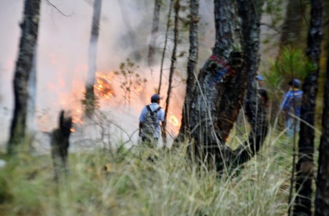 Desde poco después de las 7:00 a.m., personal de PC del municipio de Las Vigas, con el apoyo de pobladores se dieron a la tarea de combatir el incendio, mismo que no pudieron controlar y rápidamente se extendió. 