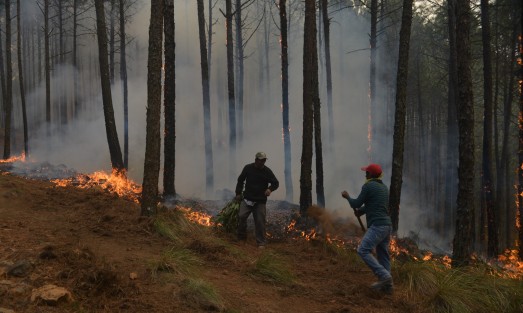 Aproximadamente  dos mil personas en Hojas Anchas y 120 en La Lobera; al igual que en San Juan del Monte, fueron evacuadas del lugar y trasladadas a un albergue en la cabecera municipal. Afortunadamente no se han reportado heridos.