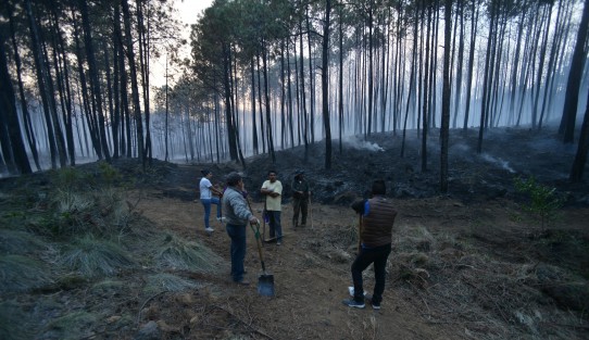 Brigadistas de diversas dependencias, así como de agrupaciones de la sociedad civil se dieron a la tarea de combatir el fuego durante todo el día.