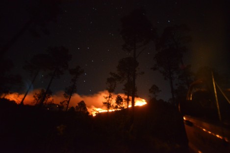 Incendio en Las Vigas de Ramírez, en las faldas del Cofre de Perote. Pobladores y personal de diversas dependencias municipales, estatales y federales se dedicaron a las tareas de contener y apagar el fuego.