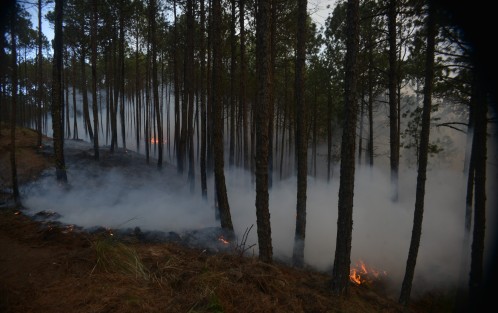 Incendio en Las Vigas de Ramírez, en las faldas del Cofre de Perote. Pobladores y personal de diversas dependencias municipales, estatales y federales se dedicaron a las tareas de contener y apagar el fuego.