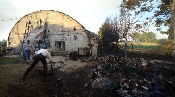 Un invernadero donde se produce champiñón, así como un cultivo de papa, también fueron afectados por el incendio forestal en Las Vigas de Ramírez. El propietario, Don Eusebio Landa, pide apoyo para reponer pérdidas 