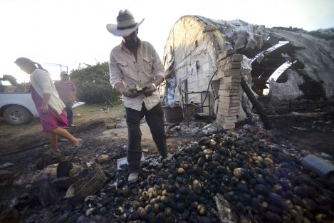 Un invernadero donde se produce champiñón, así como un cultivo de papa, también fueron afectados por el incendio forestal en Las Vigas de Ramírez. El propietario, Don Eusebio Landa, pide apoyo para reponer pérdidas 