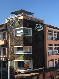 Más tardaron en <em>restaurar</em> el muro verde de la Biblioteca Carlos Fuentes, que éste en secarse nuevamente.  