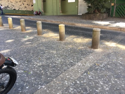Xalapeños solicitan a las autoridades municipales realicen la limpieza de la zona del parque Juárez que conduce a la Pinacoteca Diego Rivera y Museo Casa Xalapa, ya que la misma se encuentra llena de excremento de aves que además de dar una pésima imagen a locales y visitantes, son un foco de infección latente. Aunque las palomas ya estuvieran ahí cuando llegaron. 