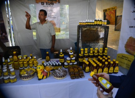 Autoridades municipales y de Sedarpa inauguraron la Expo miel Xalapa, la cual estará desde el día de hoy y hasta el domingo. En los stands los apicultores exponen productos y herramientas para el cuidado y mejoramiento en el trato de las abejas.