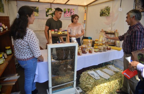 Autoridades municipales y de Sedarpa inauguraron la Expo miel Xalapa, la cual estará desde el día de hoy y hasta el domingo. En los stands los apicultores exponen productos y herramientas para el cuidado y mejoramiento en el trato de las abejas.