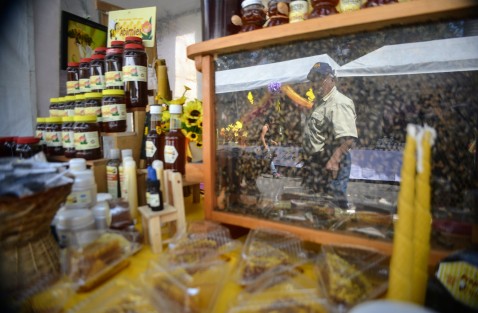 Autoridades municipales y de Sedarpa inauguraron la Expo miel Xalapa la cual estará desde el día de hoy y hasta el domingo. En los stands los apicultores exponen productos y herramientas para el cuidado y mejoramiento en el trato de las abejas.