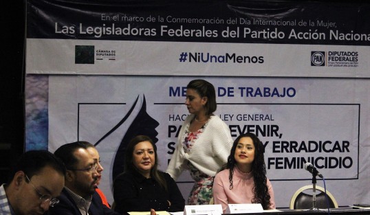 En el Congreso del estado de Veracruz, se llevó a cabo, este viernes, el foro público y mesas de trabajo para crear la Ley General para Prevenir, Sancionar y Erradicar el Delito de Feminicidio, presentado por el Grupo Legislativo de Acción Nacional de la LXIV Legislatura del Honorable Congreso de la Unión, así como diversos legisladores locales de la entidad.