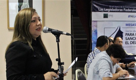 En el Congreso del estado de Veracruz, se llevó a cabo, este viernes, el foro público y mesas de trabajo para crear la Ley General para Prevenir, Sancionar y Erradicar el Delito de Feminicidio, presentado por el Grupo Legislativo de Acción Nacional de la LXIV Legislatura del Honorable Congreso de la Unión, así como diversos legisladores locales de la entidad.