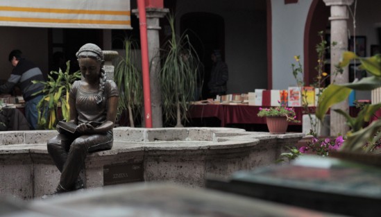 En el Centro Recreativo Xalapeño tiene lugar durante esta semana, hasta el domingo 24 de marzo, la primera Feria del Libro Antiguo y Usado. 