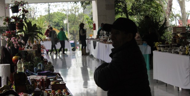 Otra venta del  pasillo en el Palacio Legislativo.