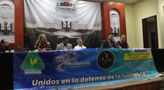 En el auditorio del Congreso del Estado se llevó a cabo una asamblea de galleros, quienes buscan nuevamente sea permitida esta actividad en Veracruz, ya que la legislatura anterior la dejó en el Limbo, al no ser publicada en la Gaceta. Los diputados no estuvieron presentes.