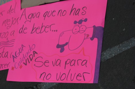 Movimientos y colectivos en defensa del agua realizaron el Carnaval del Agua en Plaza Lerdo para conmemorar el Día Mundial del Agua y exigir al gobierno federal echar atrás el decreto que durante la administración pasada levantó las vedas de las cuencas hidrológicas, dando pie a proyectos que afectan a las mismas y a las comunidades que dependen directamente de ellas. 
