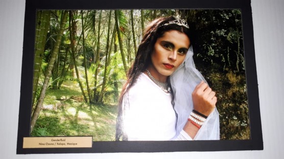 Con el propósito de visibilizar a la comunidad LGBTTTI latinoamericana, la Universidad de Quebec en Montreal, Canadá incluyó dentro de las actividades de la Segunda Semana Cultural Latinoamericana, la exposición fotográfica <em>Nosotres</em>, en la cual tuvo relevante participación la multifacética fotógrafa veracruzana Nina Ozuna.
 