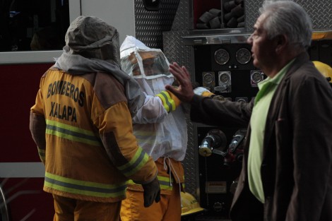 Bomberos de Xalapa retiraron un enjambre de abejas que se encontraba en uno de los pequeños árboles de la avenida Enríquez, en Xalapa, para evitar algún percance con los ciudadanos. Informaron que las abejas serían liberadas en un sitio donde no afecten a nadie, pues ellos no las matan.   