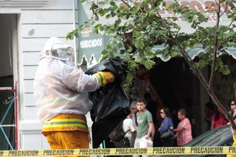 Bomberos de Xalapa retiraron un enjambre de abejas que se encontraba en uno de los pequeños árboles de la avenida Enríquez, en Xalapa, para evitar algún percance con los ciudadanos. Informaron que las abejas serían liberadas en un sitio donde no afecten a nadie, pues ellos no las matan.   