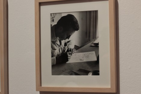 La exposición <em>Rius para principiantes</em> comprende fotografías personales del caricaturista, así como obra gráfica del mismo con diversas técnicas; los originales  de los registros de autor de sus personajes de Los Agachados y Los Supermachos, así como una serie de caricaturas desde sus primeros años como ilustrador en la revista Ja-já, hasta algunos de sus últimos trabajos.
