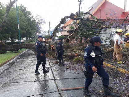 La fuerte lluvia y granizada que cayó la tarde de este domingo, provocó daños leves en algunas zonas de Xalapa. En la avenida Orizaba un árbol cayó obstaculizando uno de los carriles. 