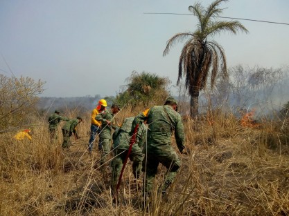 Las Secretarías de Protección Civil (PC) y del Medio Ambiente (SEDEMA), han intensificado los trabajos en prevención y atención de incendios ante la Temporada de Incendios Forestales 2019, que trae consigo condiciones propicias para el fuego en ecosistemas del territorio veracruzano.  