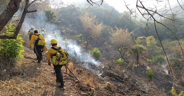 Hasta al momento, tres incendios forestales de consideración son atendidos: el primero en la comunidad de Tecpantzacualco, municipio de Astacinga, con un 55 por ciento de fuego controlado y un 10 por ciento de liquidación en un área afectada de aproximadamente 15 hectáreas de pino ocote y encino. No existe riesgo para la población. 
