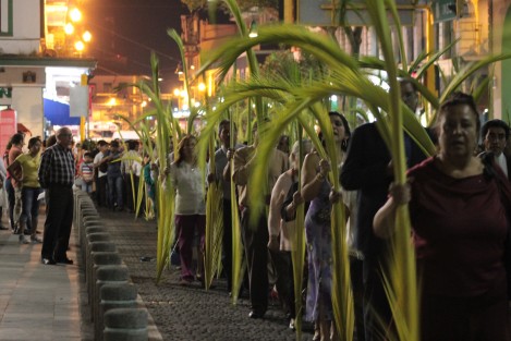 Comunidades del Camino Neocatecumenal de la Catedral de Xalapa realizaron su procesión de las palmas, con la que recuerdan la entrada de Jesucristo a Jerusalem. El día de mañana domingo, el rito se repetirá en las iglesias y se bendecirán las palmas.